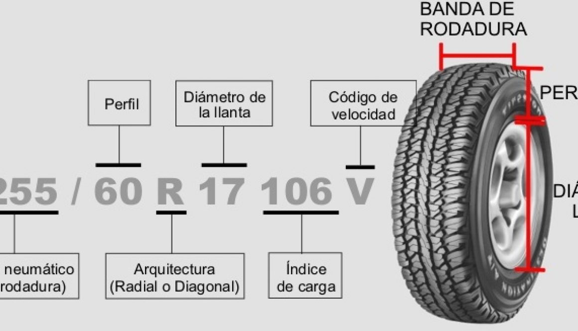 Sabio ansiedad tramo Qué significan los números en mi llanta - HAVELSA